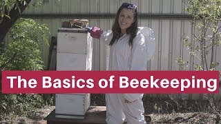 Beekeeping for beginners The absolute basics [upl. by Atteras]