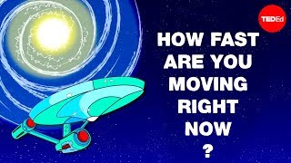 How fast are you moving right now  Tucker Hiatt [upl. by Mcquade896]