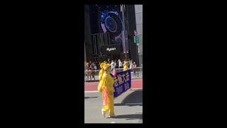 New York City Italian  American Parade Falun DaFa Marching Band [upl. by Yedsnil118]