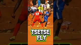 TSTSTSTsetse Fly  Aviator kasifootball youtubechamps [upl. by Rehsu]