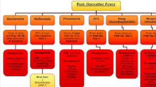 Surgery Algorithm PostOperative fever [upl. by Tybalt]