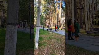 Zhytomyr Гидропарк autumn nature weekend goodday life love парк Житомир [upl. by Azzil]