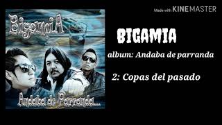 Bigamia  Copas del pasado Oficial Audio2019 [upl. by Halivah236]