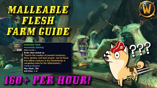 SUPER FAST Malleable Flesh Farm Guide Over 160 per hour [upl. by Assirk]