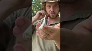 Skipping Arrow for Duck Hunting survival archery outdoors camping nature bushcraft primitive [upl. by Andros394]