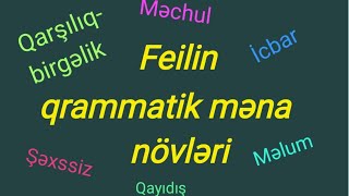 Feilin qrammatik məna növləri [upl. by Nerte]