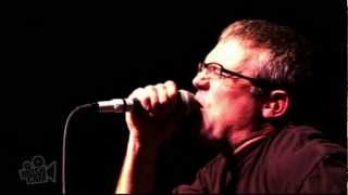 Descendents  Hope Live in Sydney  Moshcam [upl. by Enela310]