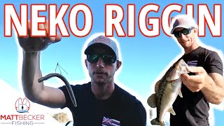 WEEDLESS NEKO RIG for Brush and Dock Bass Fishing  Rigging and Fishing [upl. by Cinderella]