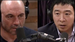 Andrew Yang on Why Life Expectancy for Americans is Declining  Joe Rogan [upl. by Lebasiram]