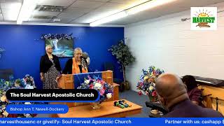 The Soul Harvest Apostolic Church [upl. by Haiasi]