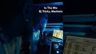 Dj Tricky Mashmix [upl. by Art]