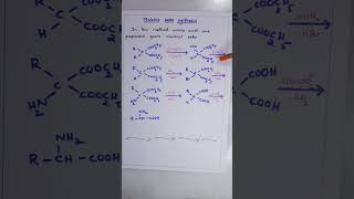 Malonic ester synthesis of Amino acids ORGANIC CHEMISTRY BSc SECOND YEAR SEMESTER IV [upl. by Drislane]