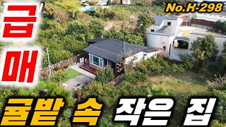 급매12만뷰를 자랑했던 화제의 매물이 가격까지 합리적으로 변경 되었습니다 [upl. by Relyks569]