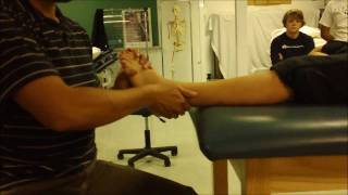 Lateral Malleolus Mobilization Posterior Glide for Ankle Sprains [upl. by Alfeus758]