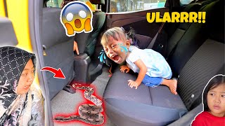 TAKUT  BAYI LUCU MENEMUKAN ULAR DI DALAM MOBIL MAMAH RERE [upl. by Cherise]