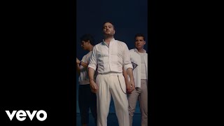 Reik  Amigos Con Derechos ft Maluma Formato Vertical [upl. by Aitak]