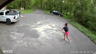 Bear Chases Dog Down Minnesota Driveway [upl. by Neemsaj369]