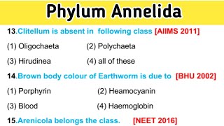 Phylum Annelida mcq  phylum annelida classification [upl. by Naeloj]