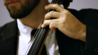 J S Bach  Air  Violin Flute Cello Trio [upl. by Body]