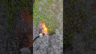 My weed burning torch hooks to a propane tank  Im hopeful it will keep the driveway weeds at bay [upl. by Idaline]