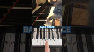 Cat Plays Mozart Rondo Alla Turca on piano piano pianotutorial shorts [upl. by Niawat279]