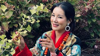 Amazing Bhutanese Dance Dorji Yuden  Bhutanese Actress  Bhutan Dance [upl. by Naz]