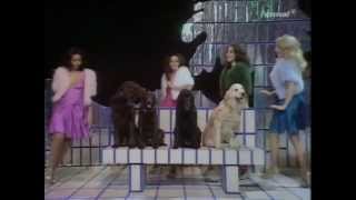 Pans People  Get Down  TOTP TX 25121973 [upl. by Kiyohara]