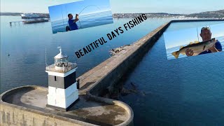 stunning day out of Holyhead breakwater  uk sea fishing with happy hooker [upl. by Ayik]