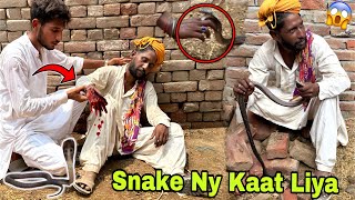 Snake Ko Pakerty Hovy Bhai Ko Snake Ny Kaat Liya💔 [upl. by Nickelsen658]