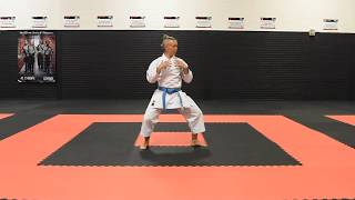 Kokutsu Dachi Back Stance [upl. by Nue]