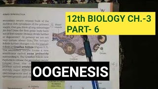 Class 12 biology chapter 3part 6 gametogenesisoogenesisby study with farru [upl. by Serrano735]