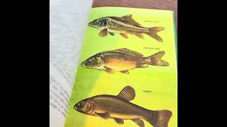 A Ladybird Book About Coarse Fishing First published in 1969 [upl. by Peti560]