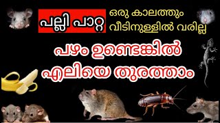 പഴം ഉണ്ടെങ്കിൽ എലിയെ തുരത്താം  പല്ലി പാറ്റ ഒരു കാലത്തും വീടിനുള്ളിൽ വരില്ല  Powerful Rat Repellent [upl. by Tatiania]