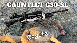 Worlds First Gauntlet G30SL vs Coyote Terminador Built Best PCP Air Rifles [upl. by Selin]