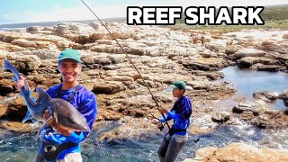 UNEXPECTED REEF SHARK catch  st francis [upl. by Muraida911]