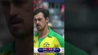 Mitchell Starc Wicket Broken Delivery cricket shorts trending viralvideo wicket [upl. by Byrle565]