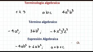 Terminología algebraica [upl. by Wallas724]