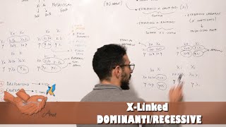 Malattie XLinked dominanti e recessive [upl. by Wira]