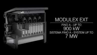 MODULEX EXT [upl. by Reinaldo983]