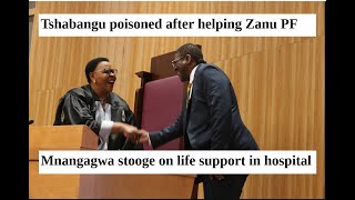 Tshabangu poisoned after helping Zanu PF get 23 majority in ParlyOn life support in Swiss clinic [upl. by Keram12]