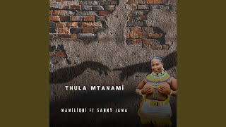 Thula Mtanami Sengikhona feat Mamilioni [upl. by Cavallaro]