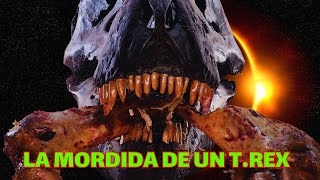 Cómo era la Poderosa Mordida de un Tyrannosaurus Rex [upl. by Baoj767]