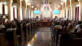 Los Angeles City Council unanimously votes to approve sanctuary city ordinance [upl. by Yenaled353]