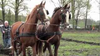 Ploegen met paarden 2012 [upl. by Stelle]