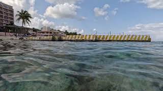 Snorkeling in Cozumel Mexico [upl. by Kirch]