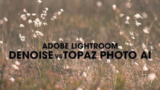 Adobe Lightroom Denoise vs Topaz Photo AI [upl. by Ashton]