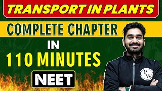 TRANSPORT IN PLANTS in 110 minutes  Complete Chapter for NEET [upl. by Sello]