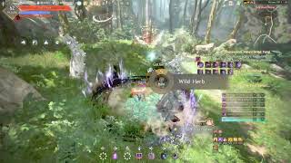 BLACK DESERT ONLINE  GAMEPLAY 485 [upl. by Ainoet401]