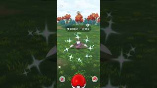 Pokémon Go Catching Shiny Drilbur [upl. by Honeyman662]