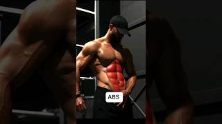 5 Minutes Daily Abs Routine for a Sculpted Stomach [upl. by Leirvag]